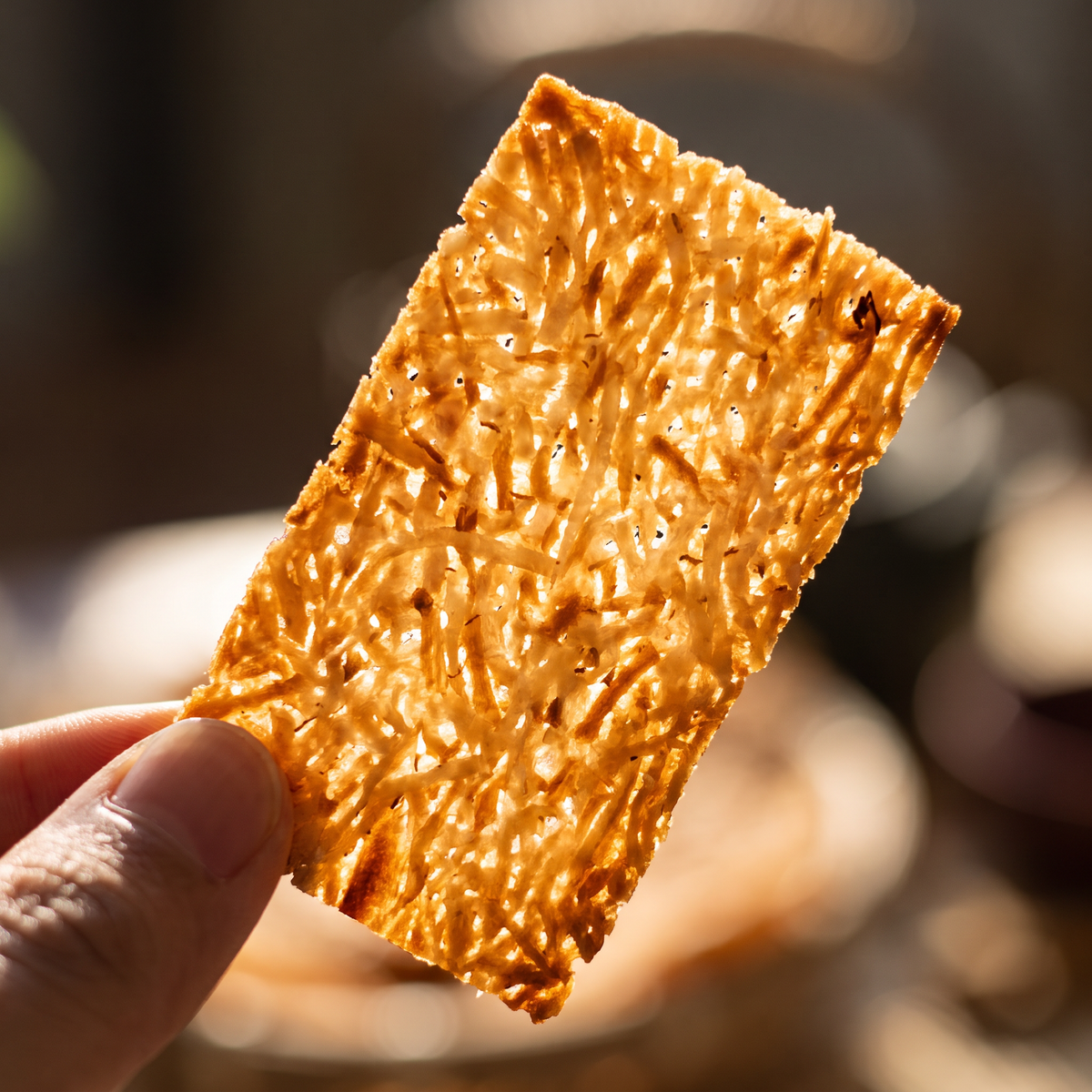Close-up of a single baked coconut cracker showing shredded coconut texture