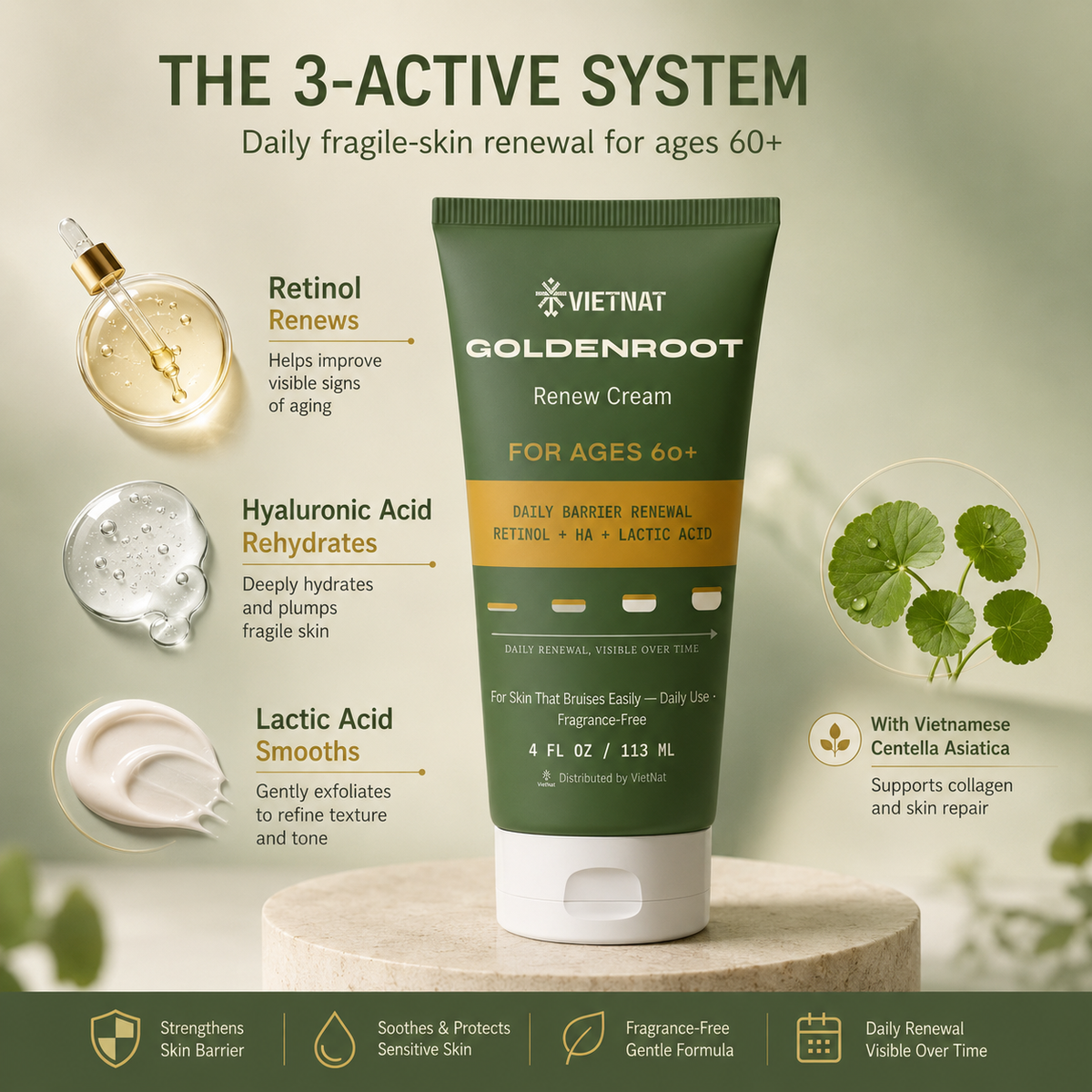 VIETNAT GoldenRoot Renew Cream For Ages 60+ | For Skin That Bruises Easily with Retinol + HA + Lactic Acid| 4 FL OZ / 113 ML