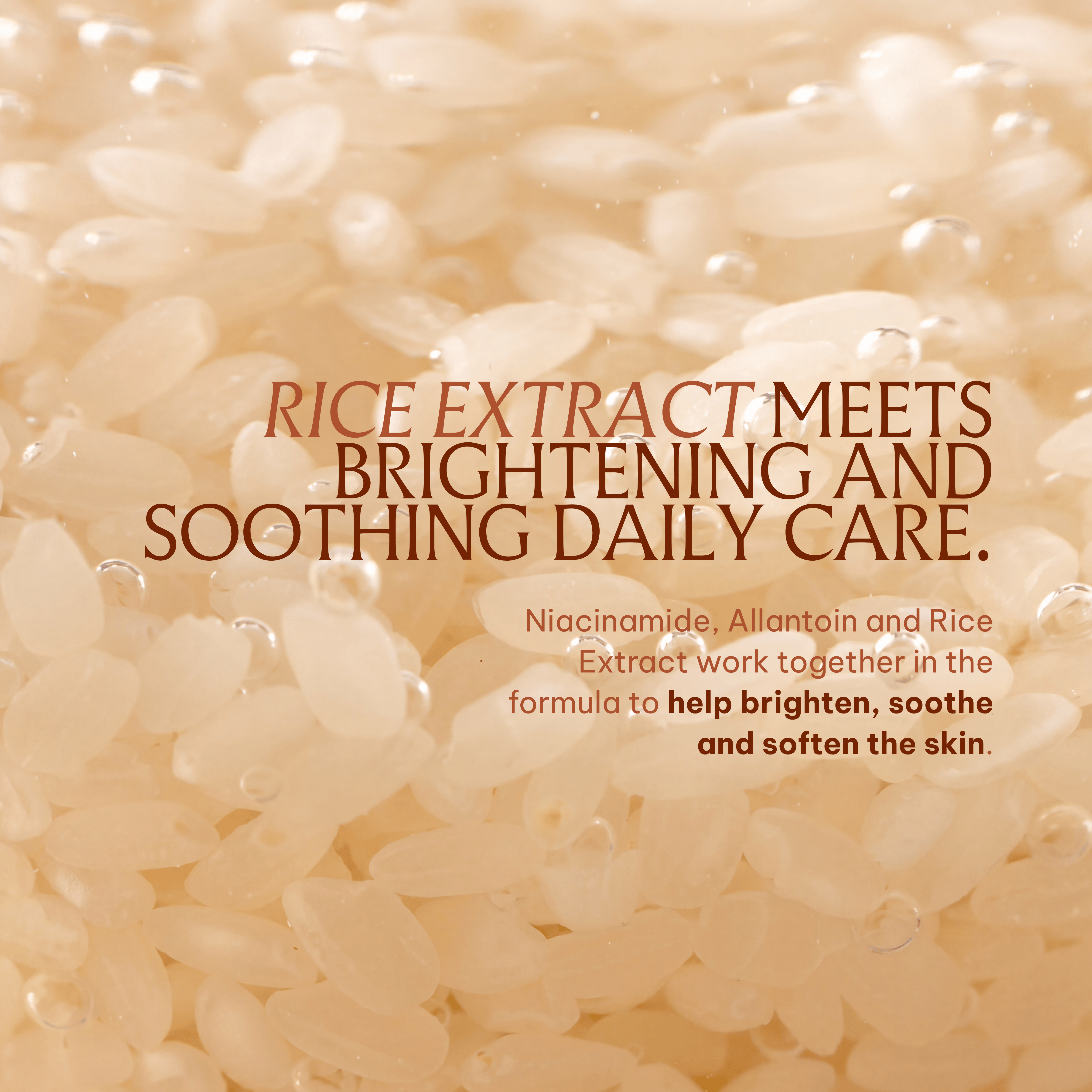 Vietnat Rice Glow Hydrating & Brightening Toner with Niacinamide, Glycerin & Rice Extract