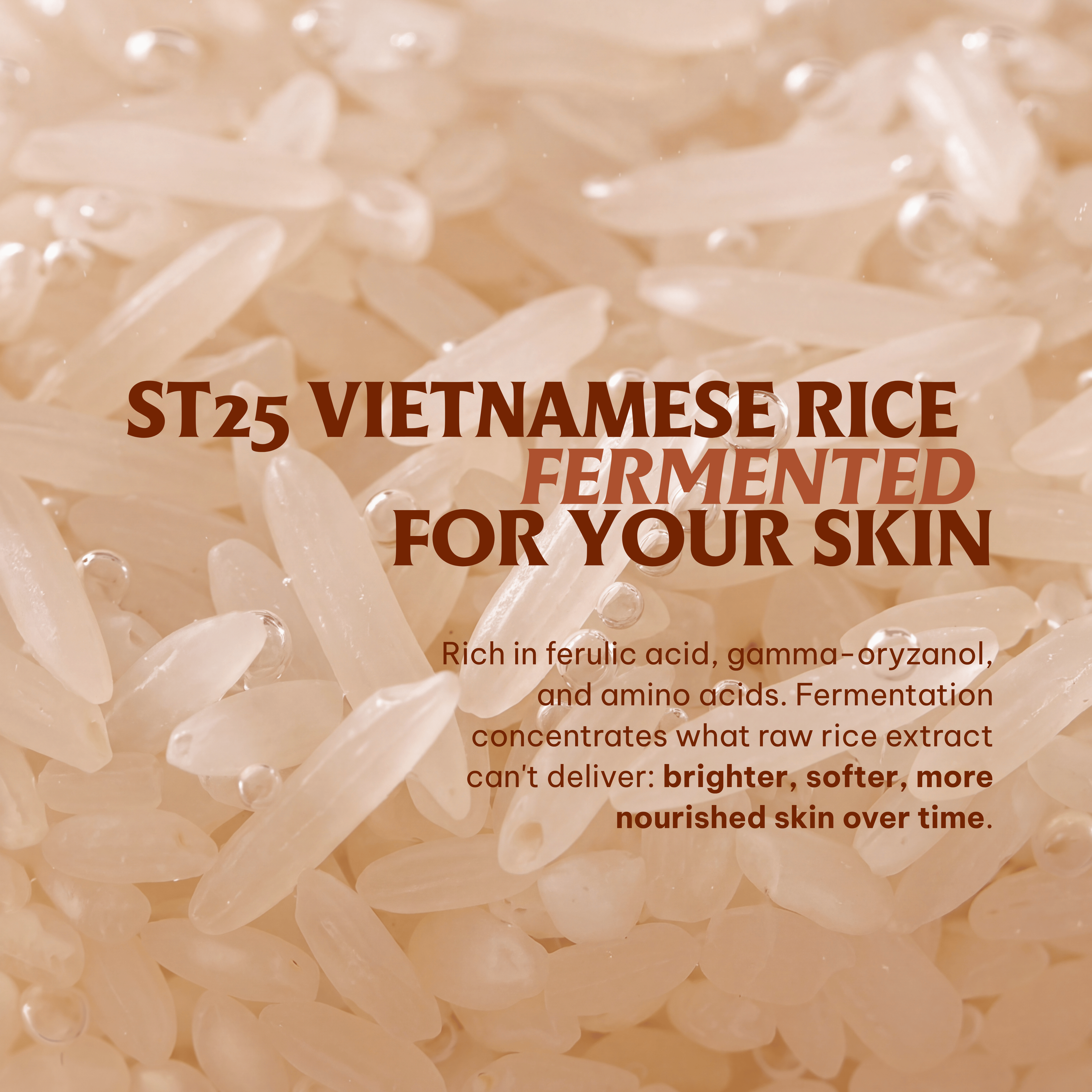 Vietnat Rice Glow Toner - Fermented ST25 Vietnamese Rice with Niacinamide & Centella Asiatica